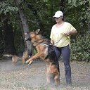 ���� Miss, ������, 49 ��� - ��������� 13 ������� 2017 � ������ ���� Bodyguard,��� ������ �������� �������������