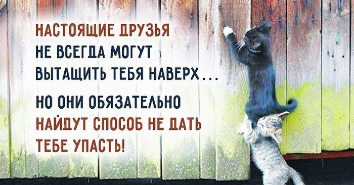 Не много рук, что тянутся в беде... И предложить готовы свою помощь... Не много Тех... кто помнит о ...