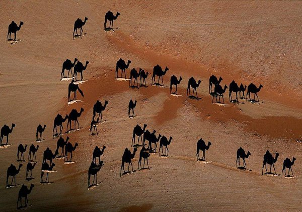 ...поделиться 10 фотографиями без фотошопа, где реальность граничит с иллюзиеи - 7