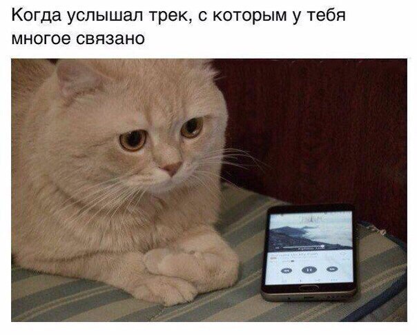 ? ,  ! - 13  2016  21:55