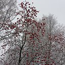 ���� �����, ������, 58 ��� - ��������� 10 ������ 2016 � ������ �������