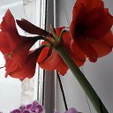 ���� �����, ������ - ��������� 22 ������� 2017 � ������ ���� ������� ����� .�