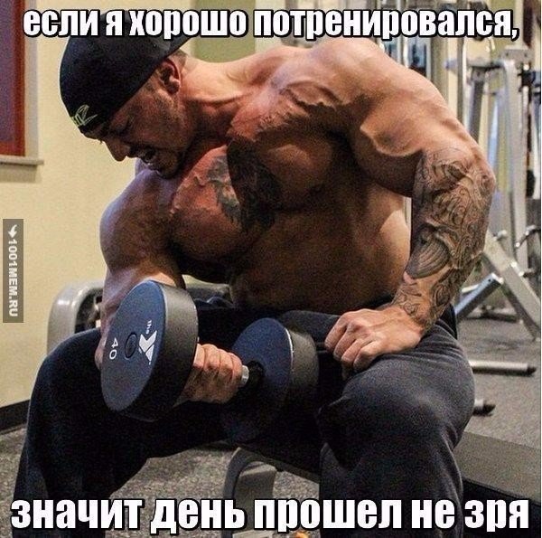 ����� - ��� ����� - 4 ������� 2016 � 16:41