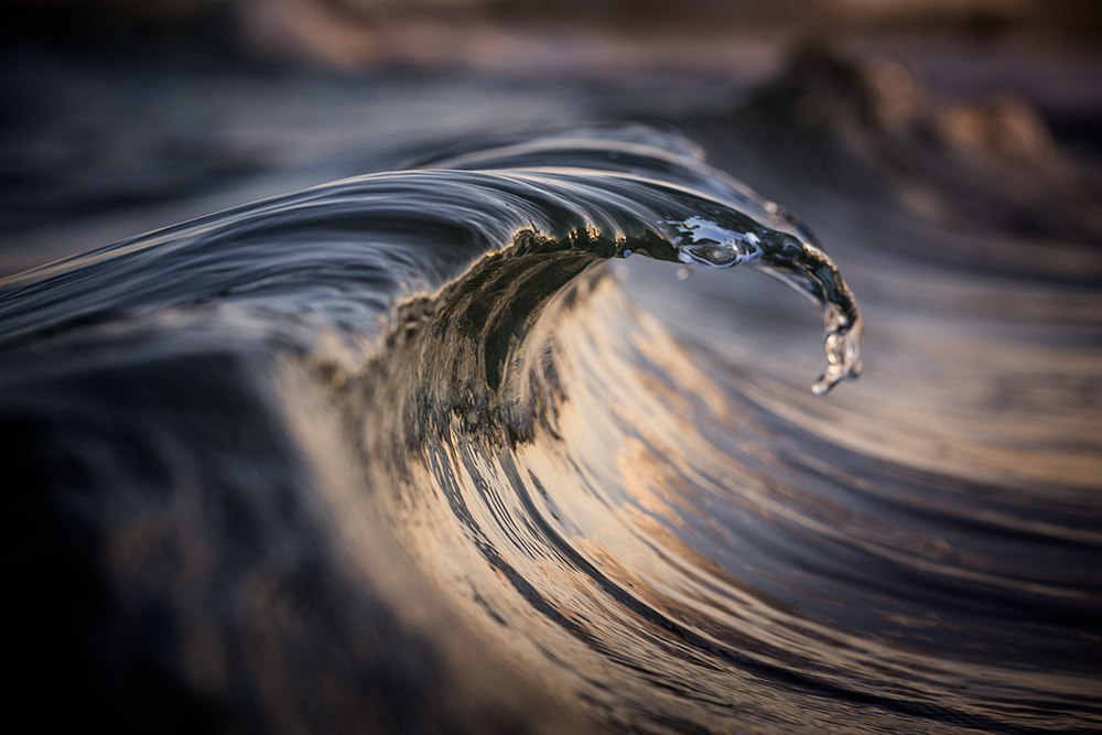  .   (Warren Keelan) - 4