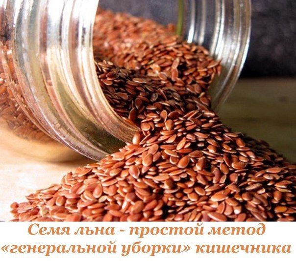 Семя льна - простой метод «генеральной уборки» кишечника.Известно, что для избавления от многих ...