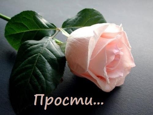 Учись прощать, молись за обижающих, Зло побеждай лучом добра, Иди без колебаний в стан прощающих ...