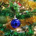 ���� �����, �����, 61 ��� - ��������� 24 ������� 2016 � ������ �������