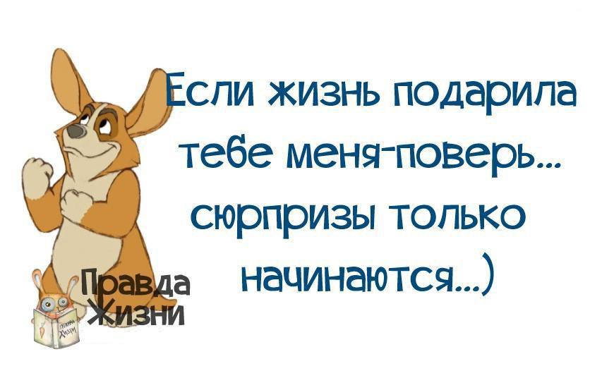 Преподнес немало сюрпризов. Высказывания про подарки. Фразы про подарки. Сюрпризы жизни цитаты. Высказывания про приятные сюрпризы.