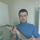 ���� ����, ������, 43 ���� - ��������� 6 ������� 2016 � ������ ���� ����������