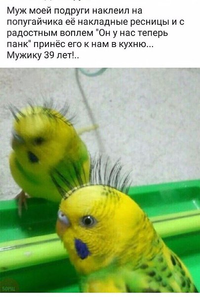  - 16  2017  14:14