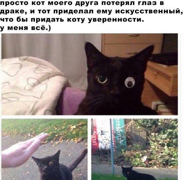    :-) - 1  2016  20:29