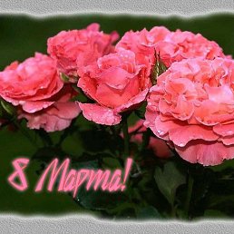 ���� �������� �����������, �������, 68 ��� - ��������� 8 ����� 2017