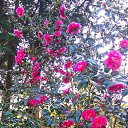 ���� Lana, ������, 54 ���� - ��������� 1 ������ 2017 � ������ �Timeline Photos�