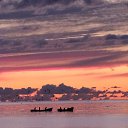 ���� ���, �����-��������� - ��������� 3 ������� 2016 � ������ ���������� ������