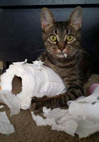 ����.... ������.