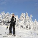 ���� �����, ������, 39 ��� - ��������� 12 ������ 2016 � ������ ���� ����������