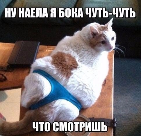   - 16  2016  18:59