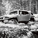 ���� ��������, ����, 62 ���� - ��������� 30 ������ 2016 � ������ ���� ����������