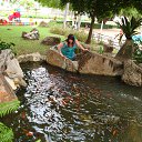 ������� �� ������� ���� ����������