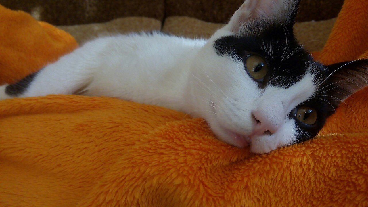 #_.         (,   ... - 5