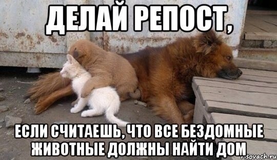    :D - 29  2016  00:02