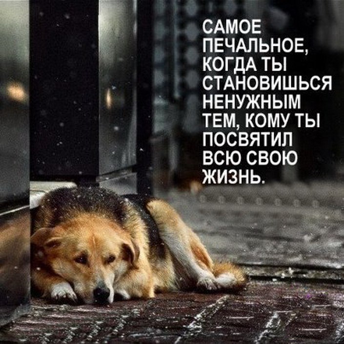 .https://fotostrana.ru/away?to=/sl/kxC2 - 22  2016  19:52