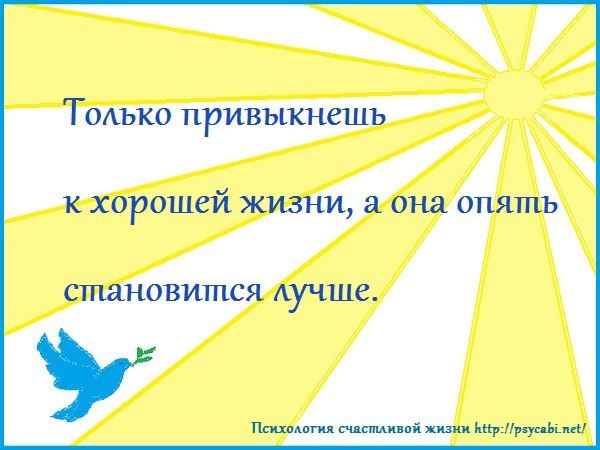    !!!! - 21  2017  06:06