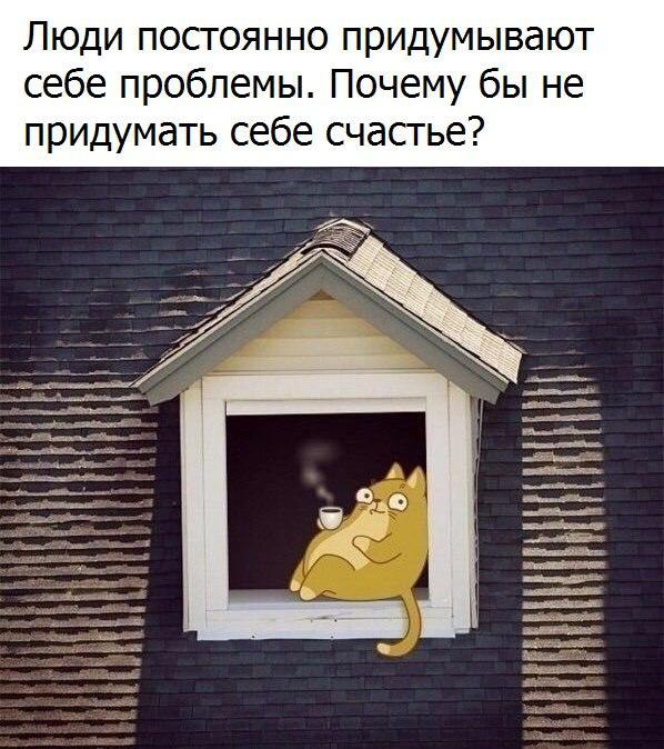   - 23  2016  17:17