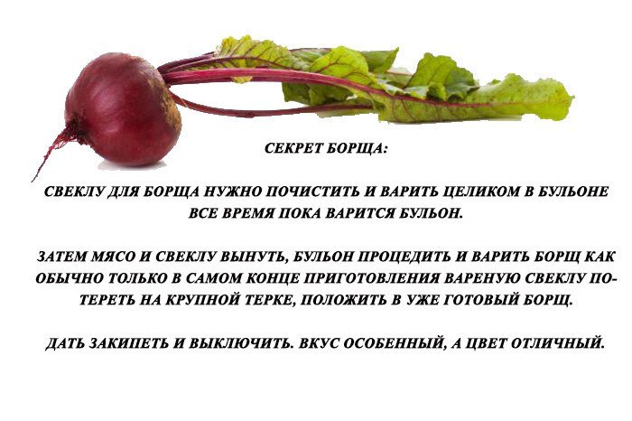 Когда даст плоды