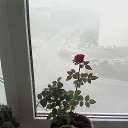 ���� ���������, ����������� - ��������� 2 ������ 2016 � ������ ���� ����������