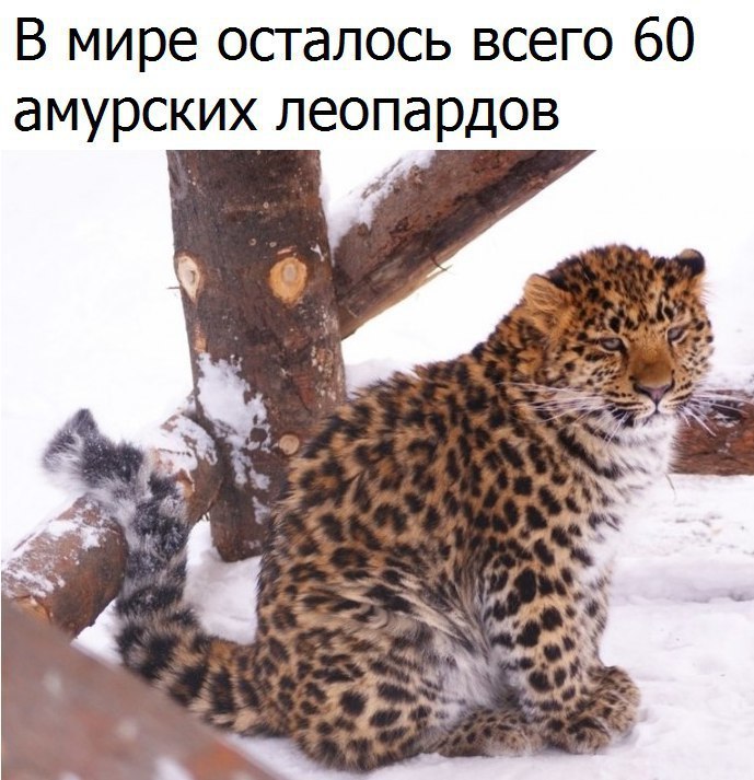 - 16  2016  18:05
