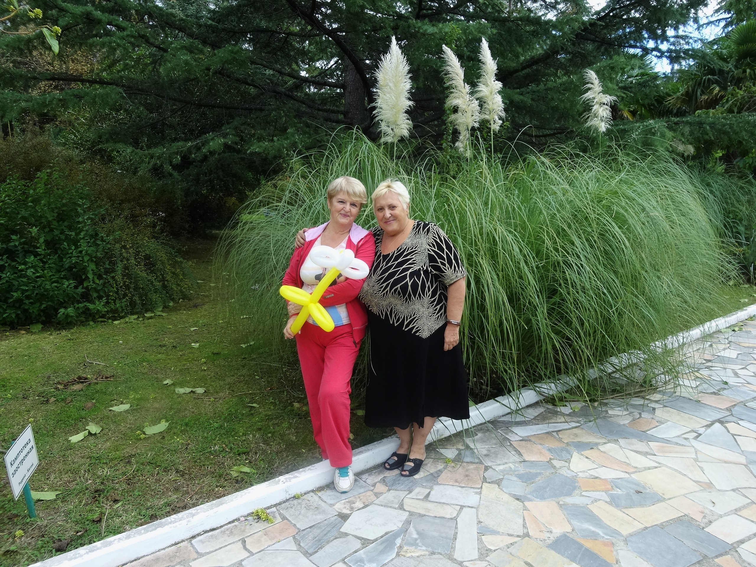  - 13  2016  14:09 - 8