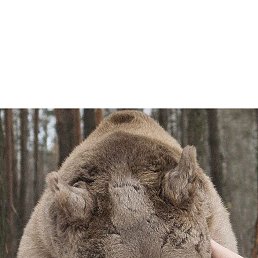 ���� �������, ������ - ��������� 28 ������� 2016