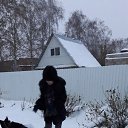 ���� ���, ���������� - ��������� 4 ������ 2016 � ������ �� � ��� �������