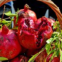  ,  -  7  2016                 λ