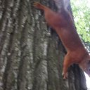 ���� ��������, ���������, 48 ��� - ��������� 3 ������ 2017 � ������ ���� ����������