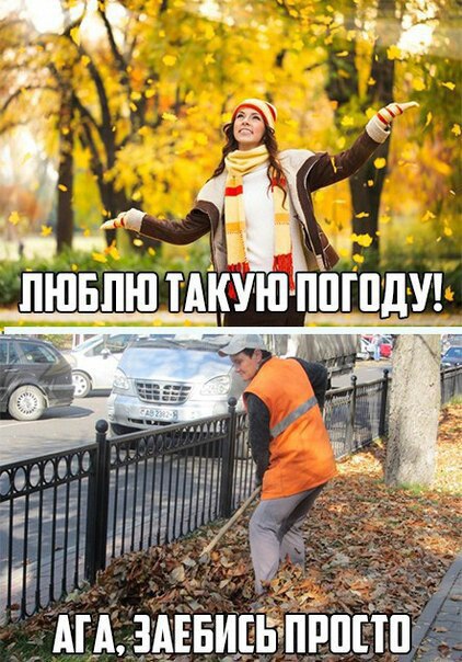 Larisa - 6  2016  12:39 - 6