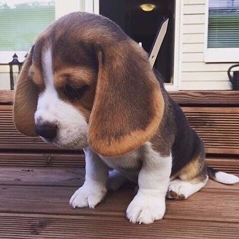  :)