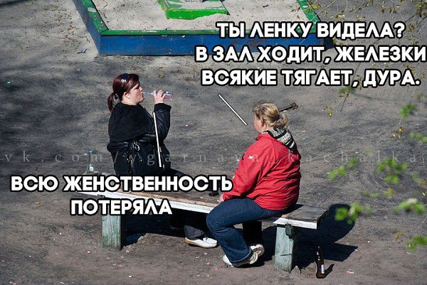  -   - 12  2016  21:06