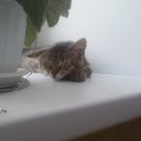 ���� ������, ������, 65 ��� - ��������� 29 ������ 2016 � ������ ���� ����������