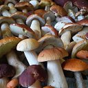 ���� ������, ��������� - ��������� 21 ������� 2016 � ������ ���� ����������