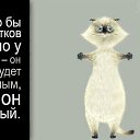 ���� ����, ���� - ��������� 17 ������� 2016 � ������ ������ ��������