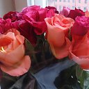 ���� Lenne, ������, 35 ��� - ��������� 12 ������ 2016 � ������ ������ ��������
