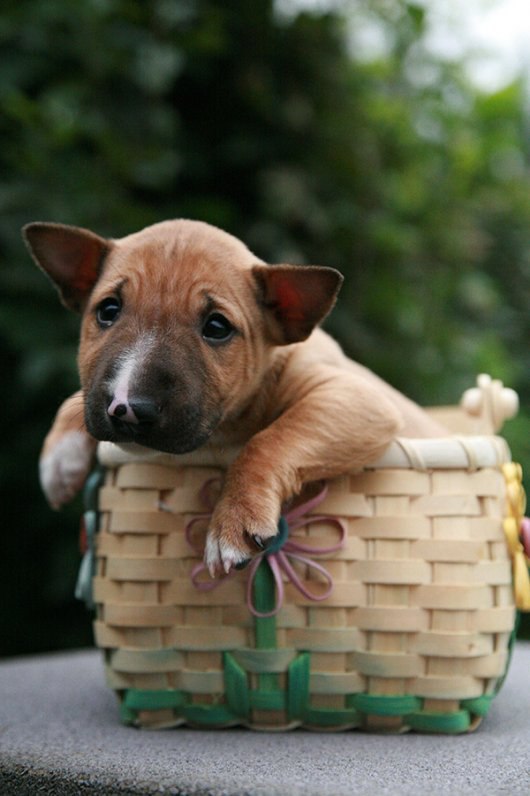 Доброе утро, Буле-Городок