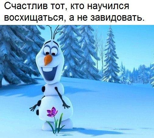   - 6  2017  13:36