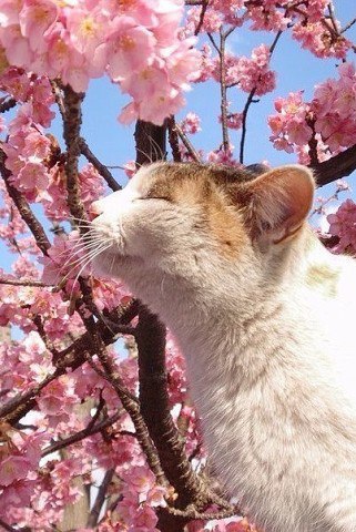  - 16  2017  19:48 - 6