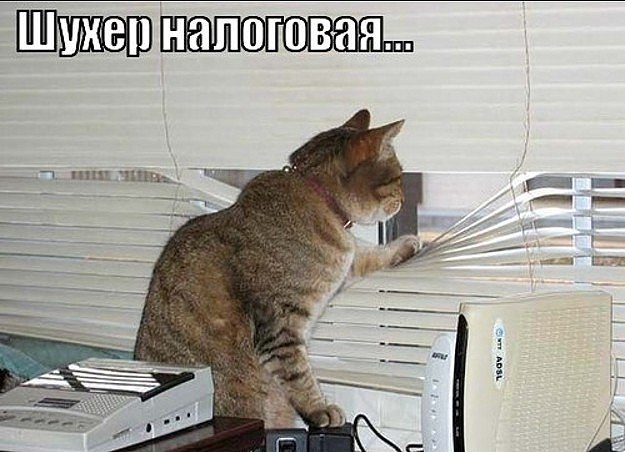 - !   !))))) - 2