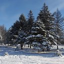 ���� Aleksandr, �����������, 64 ���� - ��������� 19 ������� 2016 � ������ ���� ����������