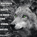 ���� ���������, ����������, 64 ���� - ��������� 24 ������� 2016 � ������ ������ ��������