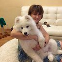 ���� �������, ������� - ��������� 27 ������ 2016 � ������ ���� ����������